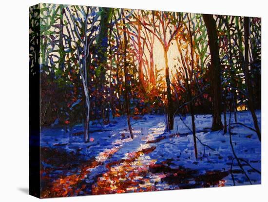 Sunset on Snow, 2010-Helen White-Stretched Canvas