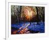 Sunset on Snow, 2010-Helen White-Framed Giclee Print