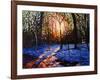 Sunset on Snow, 2010-Helen White-Framed Giclee Print