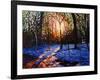 Sunset on Snow, 2010-Helen White-Framed Giclee Print