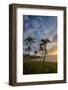 Sunset on Southern Maui Beach with Palm Trees-Terry Eggers-Framed Photographic Print