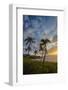 Sunset on Southern Maui Beach with Palm Trees-Terry Eggers-Framed Photographic Print