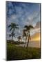 Sunset on Southern Maui Beach with Palm Trees-Terry Eggers-Mounted Photographic Print