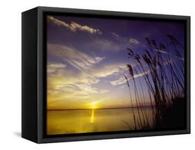 Sunset on the Barnegat Bay and Sea Oats-Bob Krist-Framed Stretched Canvas