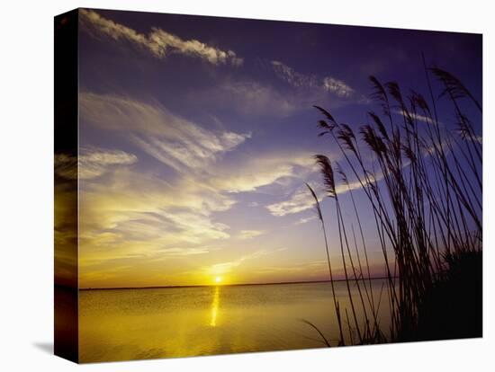 Sunset on the Barnegat Bay and Sea Oats-Bob Krist-Stretched Canvas