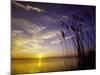 Sunset on the Barnegat Bay and Sea Oats-Bob Krist-Mounted Premium Photographic Print