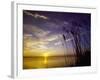 Sunset on the Barnegat Bay and Sea Oats-Bob Krist-Framed Photographic Print