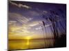 Sunset on the Barnegat Bay and Sea Oats-Bob Krist-Mounted Photographic Print