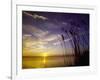 Sunset on the Barnegat Bay and Sea Oats-Bob Krist-Framed Photographic Print