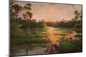Sunset on the Bayou-Hannah Paulsen-Mounted Art Print