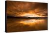 Sunset on the Beach at Bamburgh, Northumberland England UK-Tracey Whitefoot-Stretched Canvas