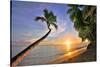 Sunset on the Beach at The Sandpiper Hotel, Holetown, St. James, Barbados, Caribbean-null-Stretched Canvas