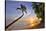 Sunset on the Beach at The Sandpiper Hotel, Holetown, St. James, Barbados, Caribbean-null-Stretched Canvas