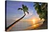 Sunset on the Beach at The Sandpiper Hotel, Holetown, St. James, Barbados, Caribbean-null-Stretched Canvas