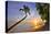 Sunset on the Beach at The Sandpiper Hotel, Holetown, St. James, Barbados, Caribbean-null-Stretched Canvas