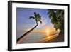 Sunset on the Beach at The Sandpiper Hotel, Holetown, St. James, Barbados, Caribbean-null-Framed Art Print