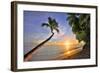 Sunset on the Beach at The Sandpiper Hotel, Holetown, St. James, Barbados, Caribbean-null-Framed Art Print