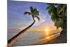 Sunset on the Beach at The Sandpiper Hotel, Holetown, St. James, Barbados, Caribbean-null-Mounted Art Print