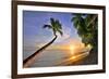 Sunset on the Beach at The Sandpiper Hotel, Holetown, St. James, Barbados, Caribbean-null-Framed Art Print