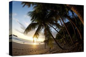 Sunset on the Beach in Costa Rica Makes for a Very Pleasant Walk. Playa Espadilla, Costa Rica-Adam Barker-Stretched Canvas