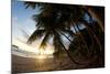 Sunset on the Beach in Costa Rica Makes for a Very Pleasant Walk. Playa Espadilla, Costa Rica-Adam Barker-Mounted Photographic Print