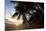 Sunset on the Beach in Costa Rica Makes for a Very Pleasant Walk. Playa Espadilla, Costa Rica-Adam Barker-Mounted Photographic Print