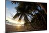 Sunset on the Beach in Costa Rica Makes for a Very Pleasant Walk. Playa Espadilla, Costa Rica-Adam Barker-Mounted Photographic Print