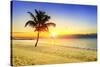 Sunset on the Beach-vent du sud-Stretched Canvas