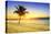 Sunset on the Beach-vent du sud-Stretched Canvas