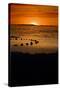 Sunset on the Beach-dilsiz-Stretched Canvas