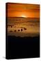 Sunset on the Beach-dilsiz-Stretched Canvas