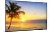 Sunset on the Beach-vent du sud-Mounted Photographic Print