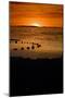 Sunset on the Beach-dilsiz-Mounted Photographic Print