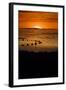 Sunset on the Beach-dilsiz-Framed Photographic Print