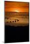 Sunset on the Beach-dilsiz-Mounted Photographic Print