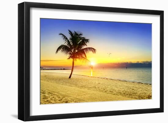 Sunset on the Beach-vent du sud-Framed Photographic Print