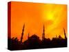 Sunset on the Blue Mosque, Istanbul, Turkey-Bill Bachmann-Stretched Canvas