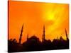 Sunset on the Blue Mosque, Istanbul, Turkey-Bill Bachmann-Stretched Canvas