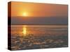 Sunset on the Dead Sea, Jordan, Middle East-Alison Wright-Stretched Canvas