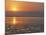 Sunset on the Dead Sea, Jordan, Middle East-Alison Wright-Mounted Photographic Print