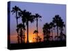 Sunset on the Edge of the Ntwetwe Saltpan Where Moklowane or African Fan Palms Grow in Profusion-Nigel Pavitt-Stretched Canvas