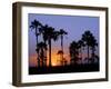 Sunset on the Edge of the Ntwetwe Saltpan Where Moklowane or African Fan Palms Grow in Profusion-Nigel Pavitt-Framed Photographic Print