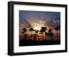 Sunset on the Edge of the Ntwetwe Saltpan Where Moklowane or African Fan Palms Grow in Profusion-Nigel Pavitt-Framed Photographic Print