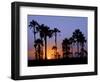 Sunset on the Edge of the Ntwetwe Saltpan Where Moklowane or African Fan Palms Grow in Profusion-Nigel Pavitt-Framed Photographic Print