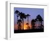 Sunset on the Edge of the Ntwetwe Saltpan Where Moklowane or African Fan Palms Grow in Profusion-Nigel Pavitt-Framed Photographic Print