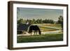 Sunset On The Farm-Galloimages Online-Framed Photographic Print