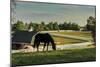 Sunset On The Farm-Galloimages Online-Mounted Photographic Print