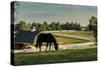 Sunset On The Farm-Galloimages Online-Stretched Canvas