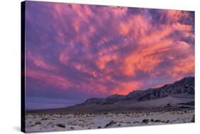 Sunset on the Moon, Clouds Over Death Valley, California-Vincent James-Stretched Canvas