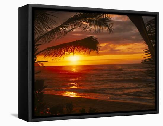 Sunset on the Ocean with Palm Trees, Oahu, HI-Bill Romerhaus-Framed Stretched Canvas